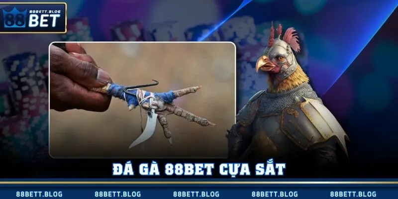 Đá gà 88BET cựa sắt