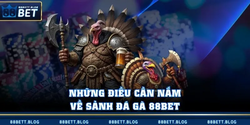 Những điều cần nắm về sảnh đá gà 88BET
